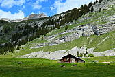 p1000434.jpg