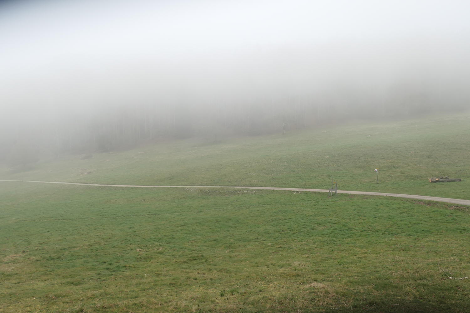 p1030916.jpg