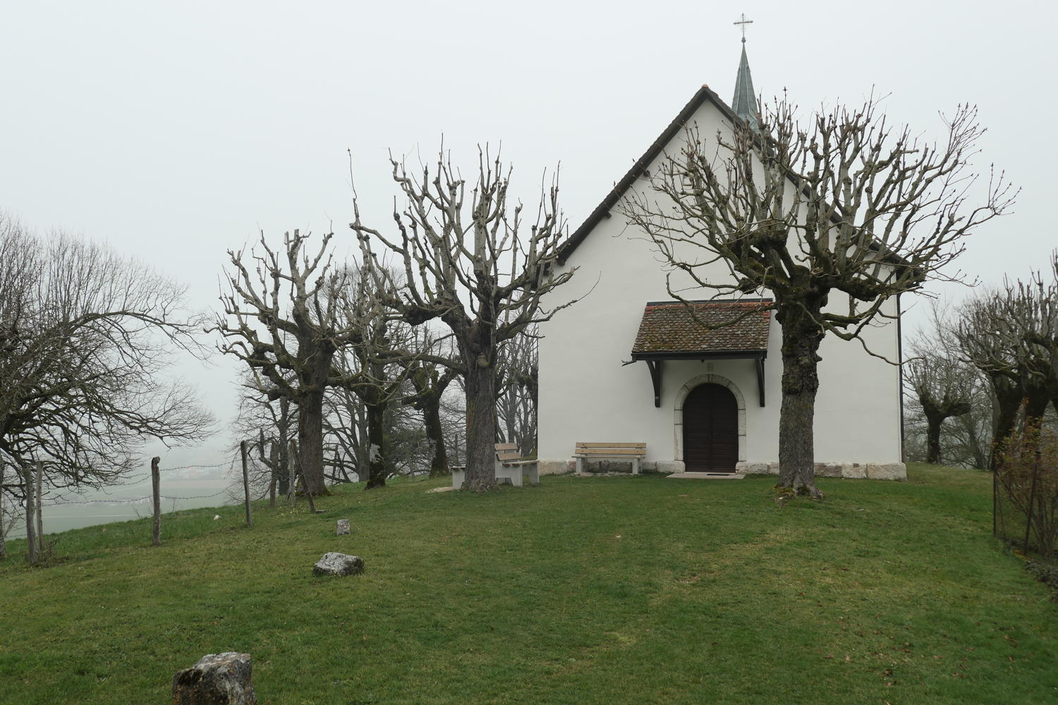 p1030934.jpg