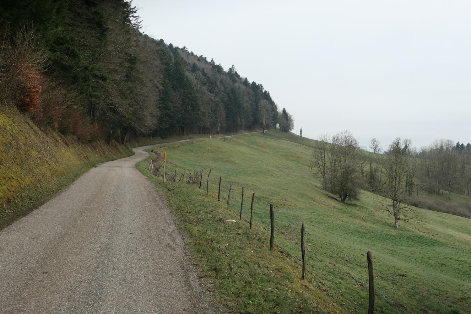 p1030964.jpg