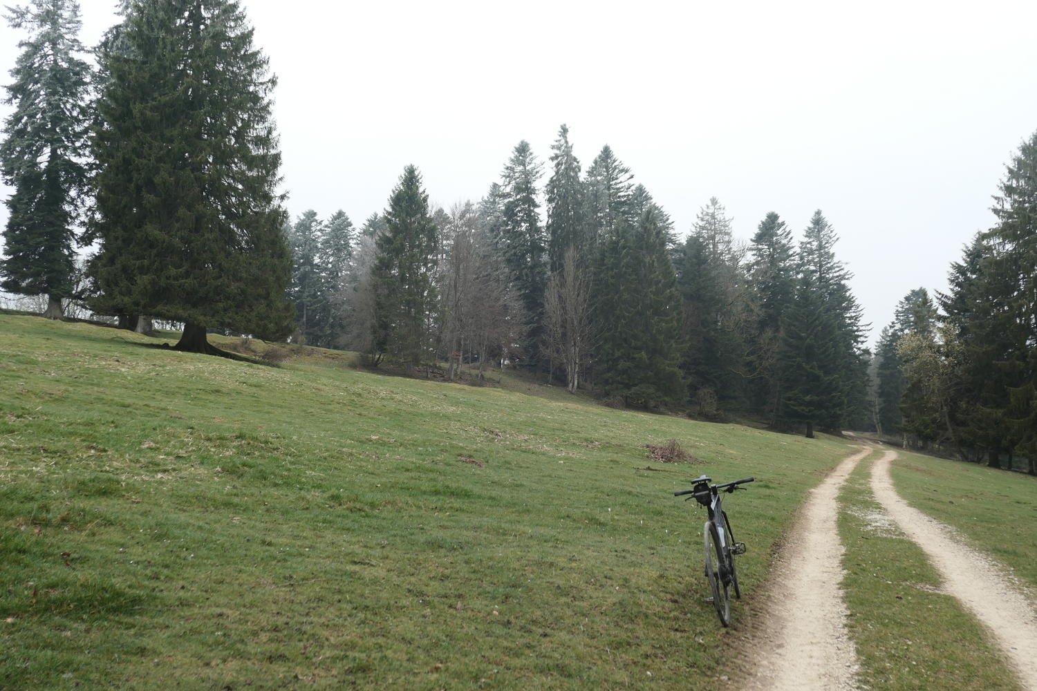 p1030972.jpg