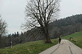 p1030952.jpg