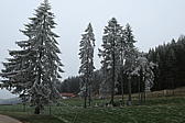 p1030971.jpg