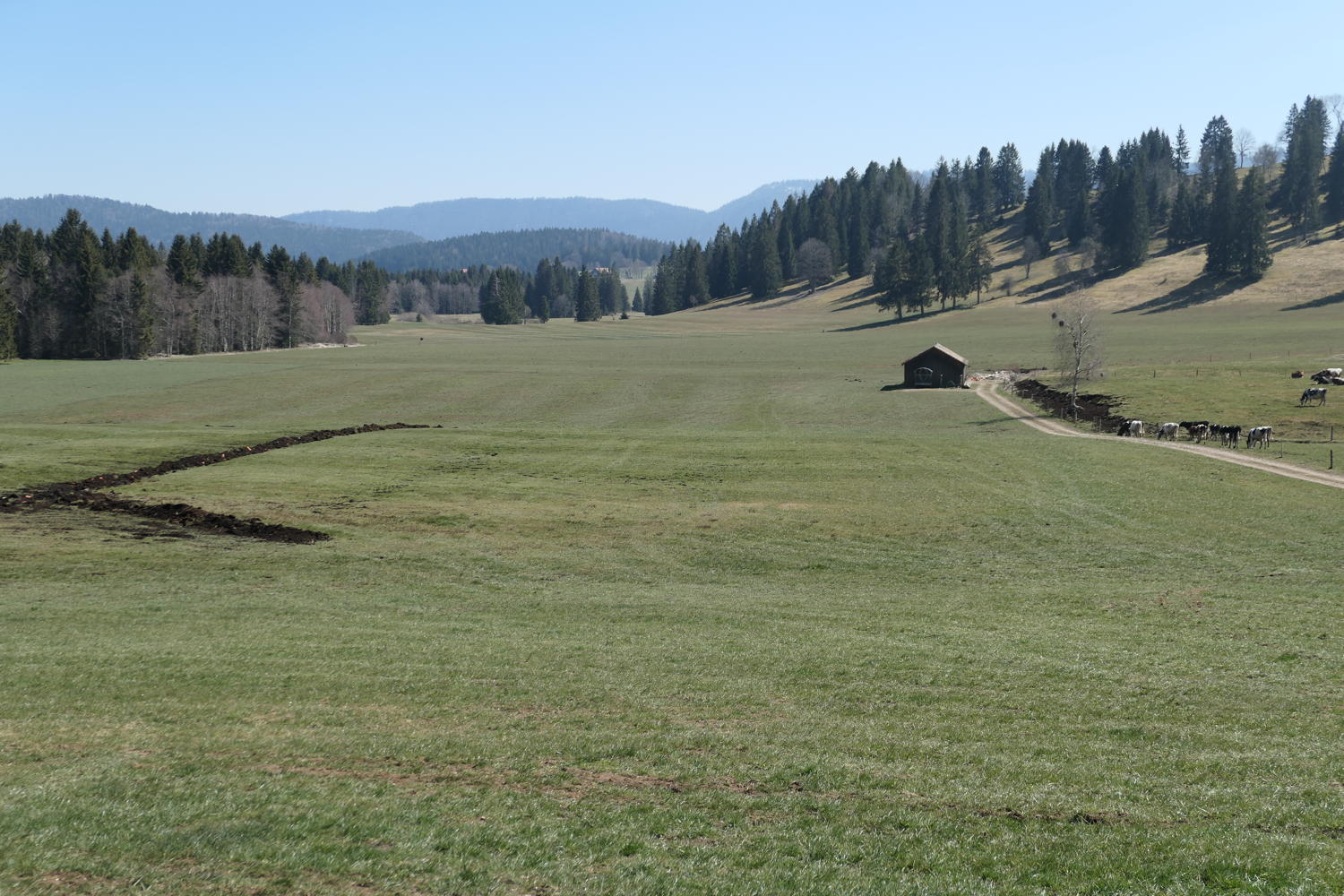 p1040033.jpg