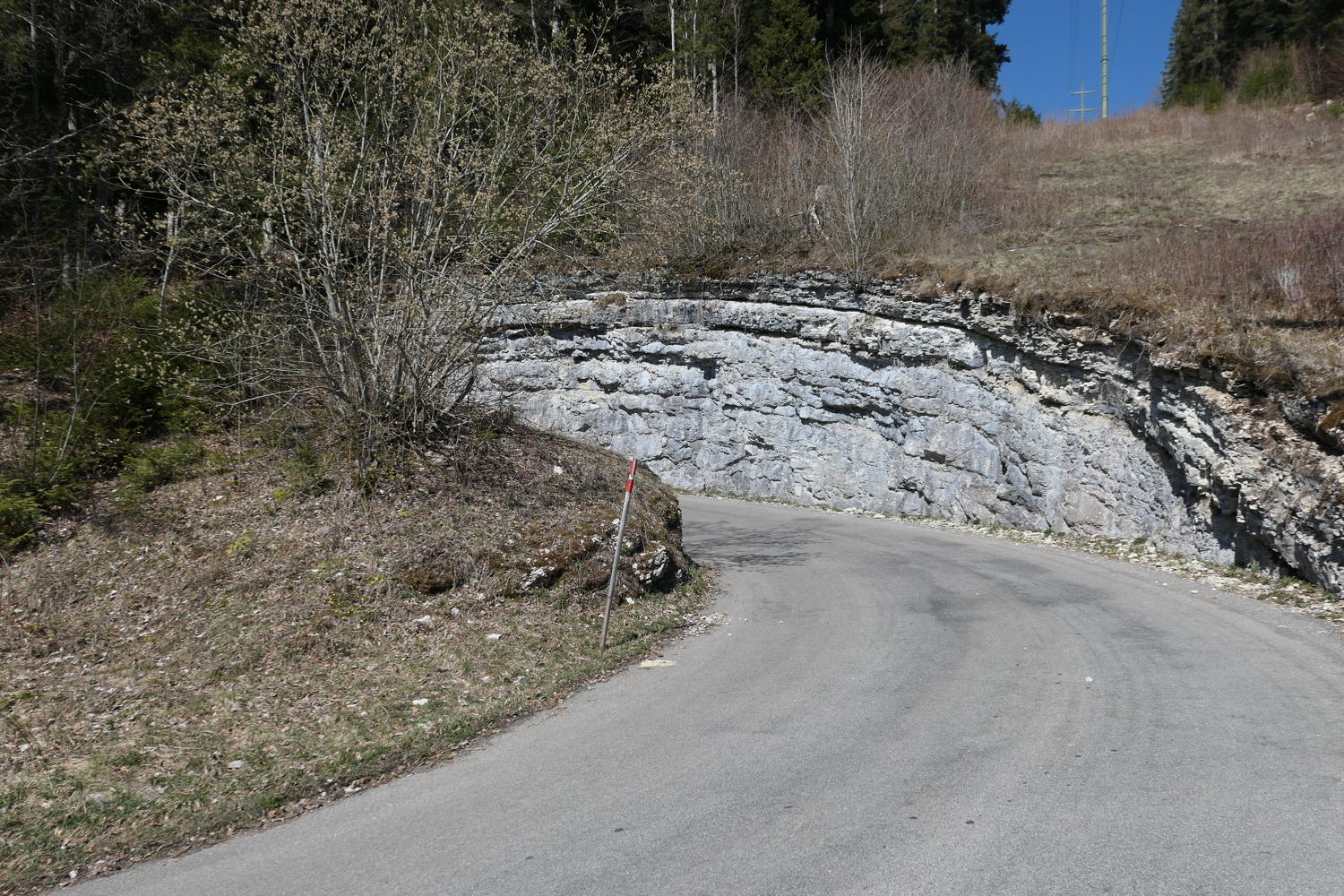 p1040035.jpg