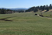 p1040033.jpg