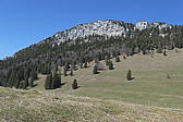p1040065.jpg