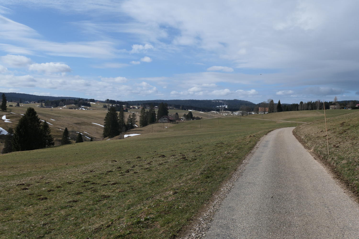 p1030842.jpg