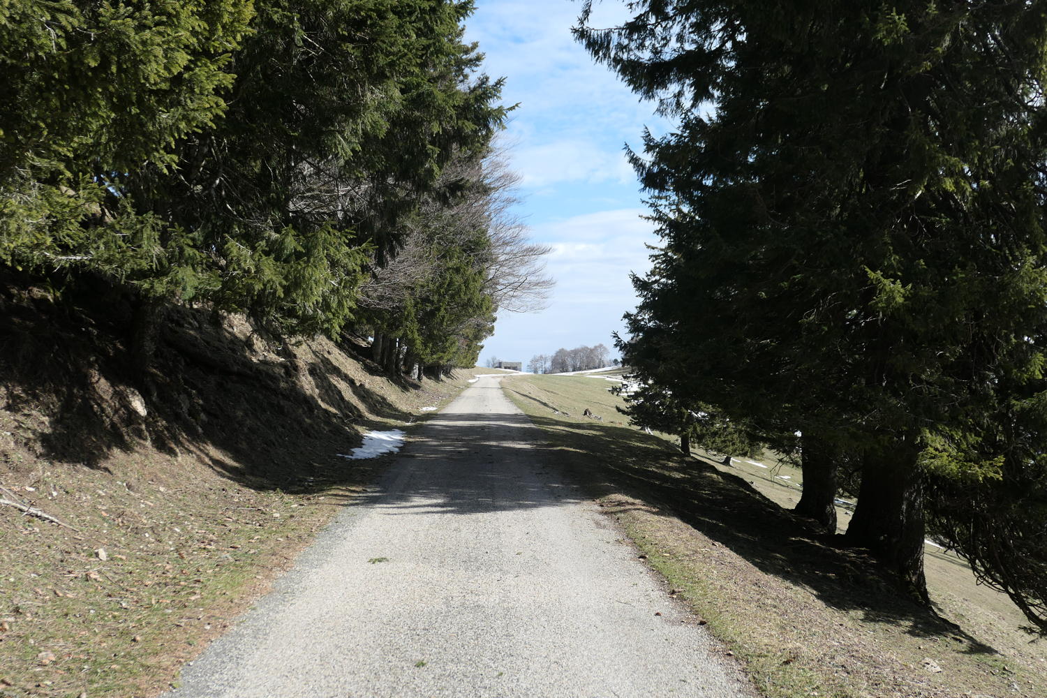 p1030854.jpg