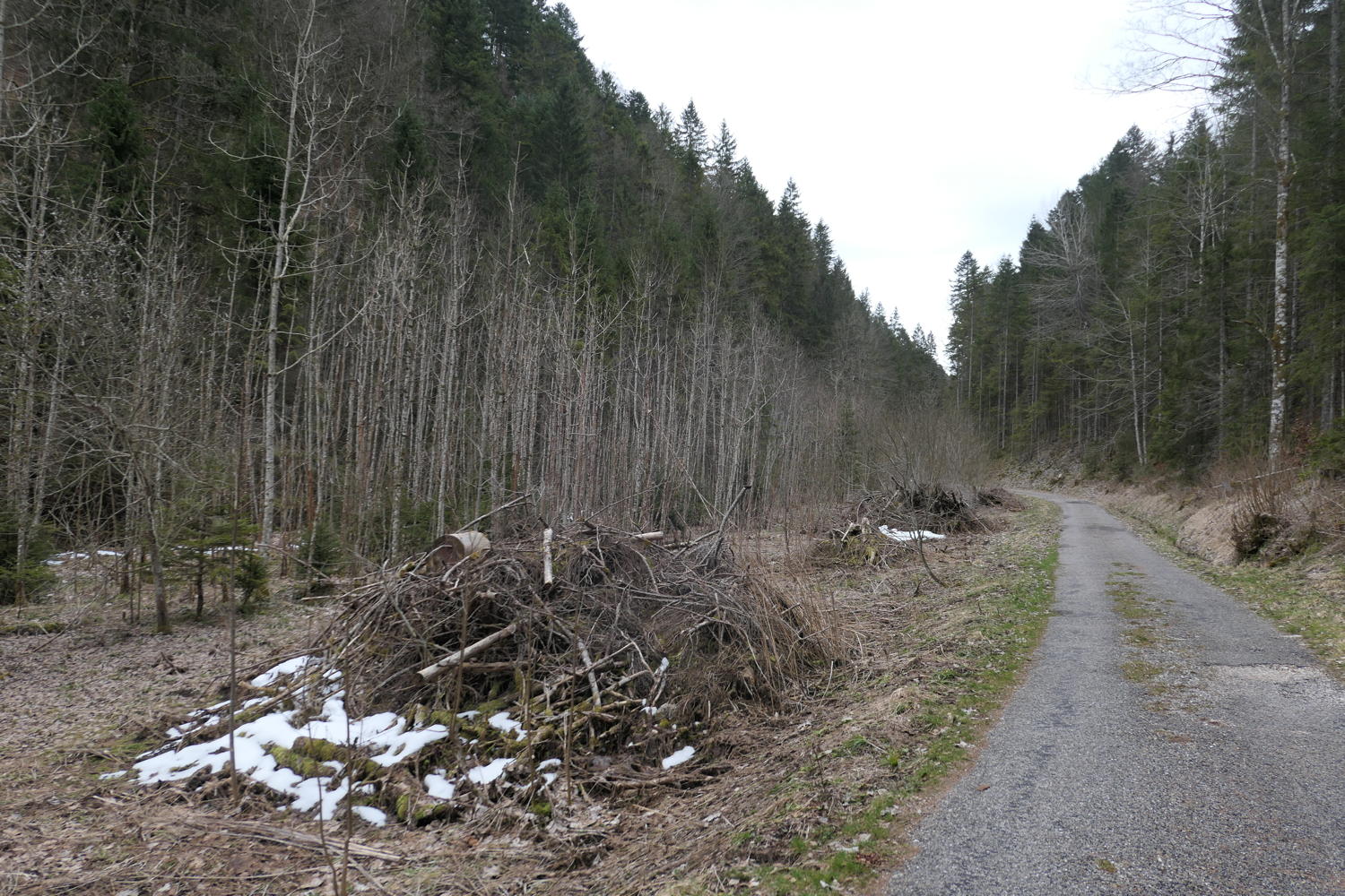 p1030872.jpg