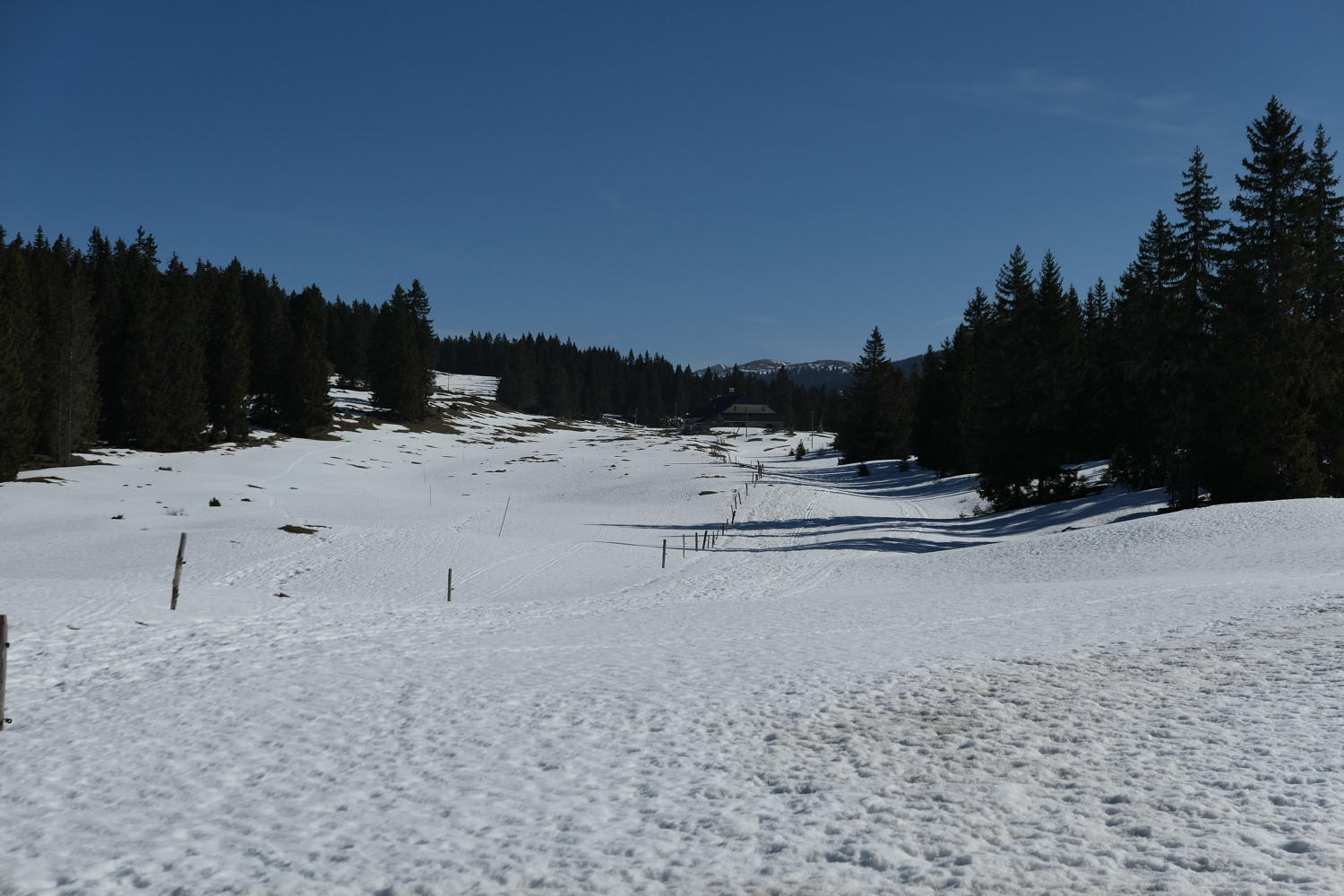 p1030893.jpg