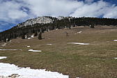 p1030857.jpg
