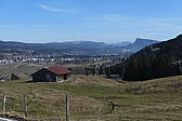 p1030890.jpg