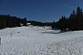 p1030893.jpg