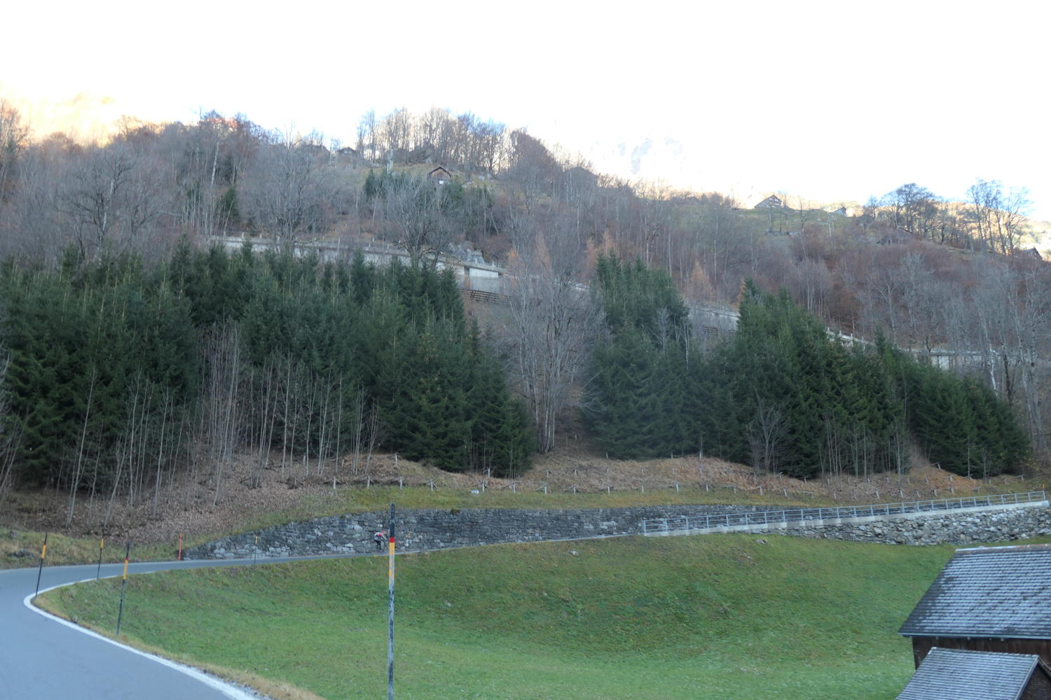 p1001997.jpg
