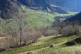p1002018.jpg