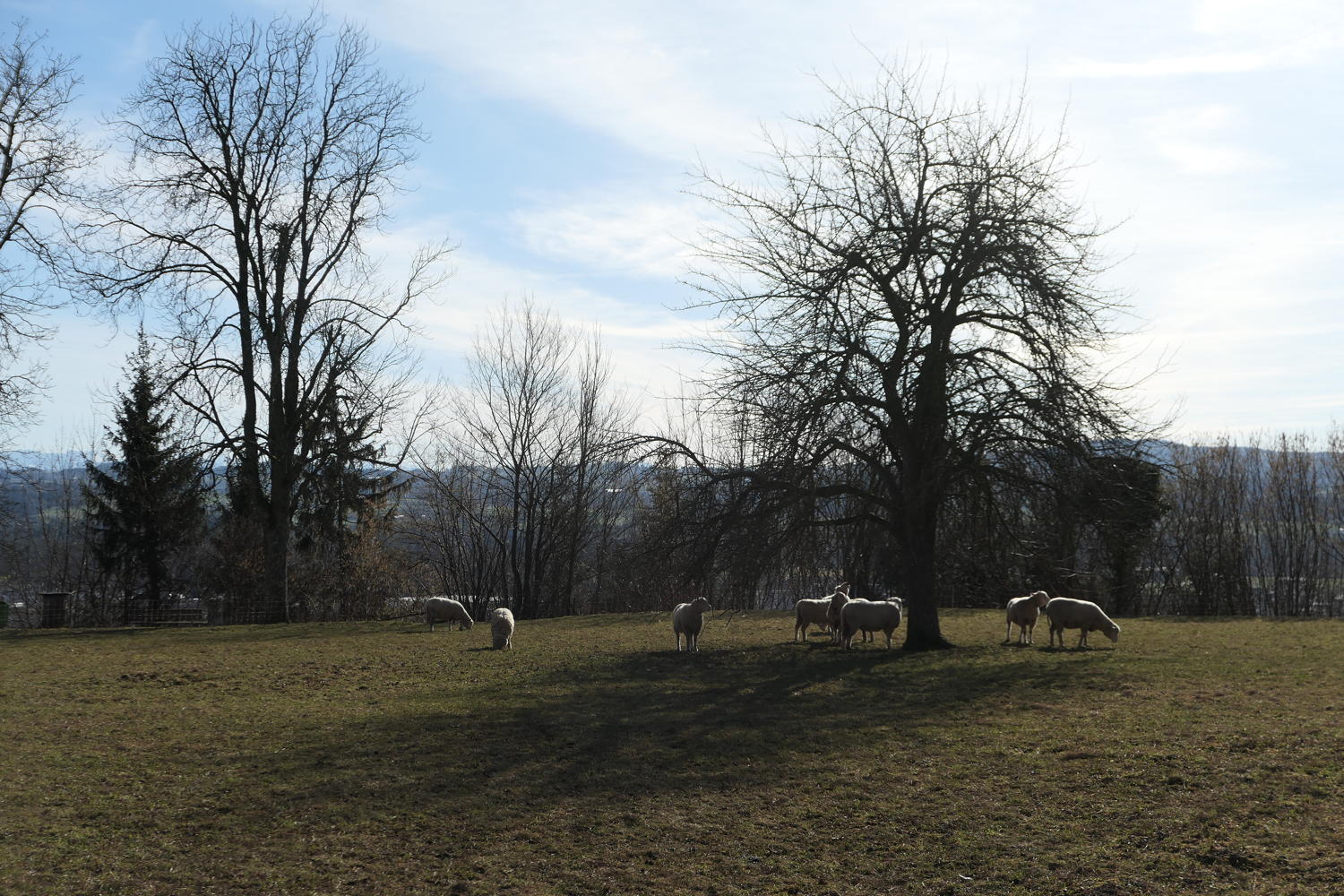 p1030630.jpg