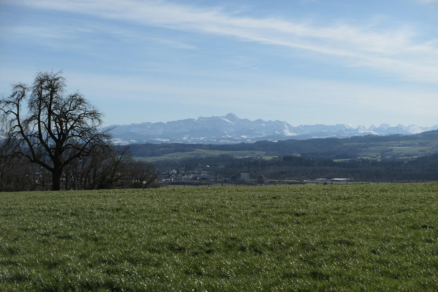 p1030631.jpg