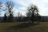 p1030630.jpg