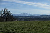 p1030631.jpg