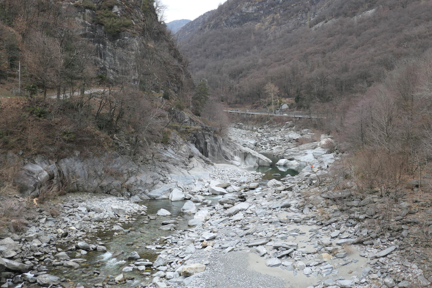 p1030549.jpg