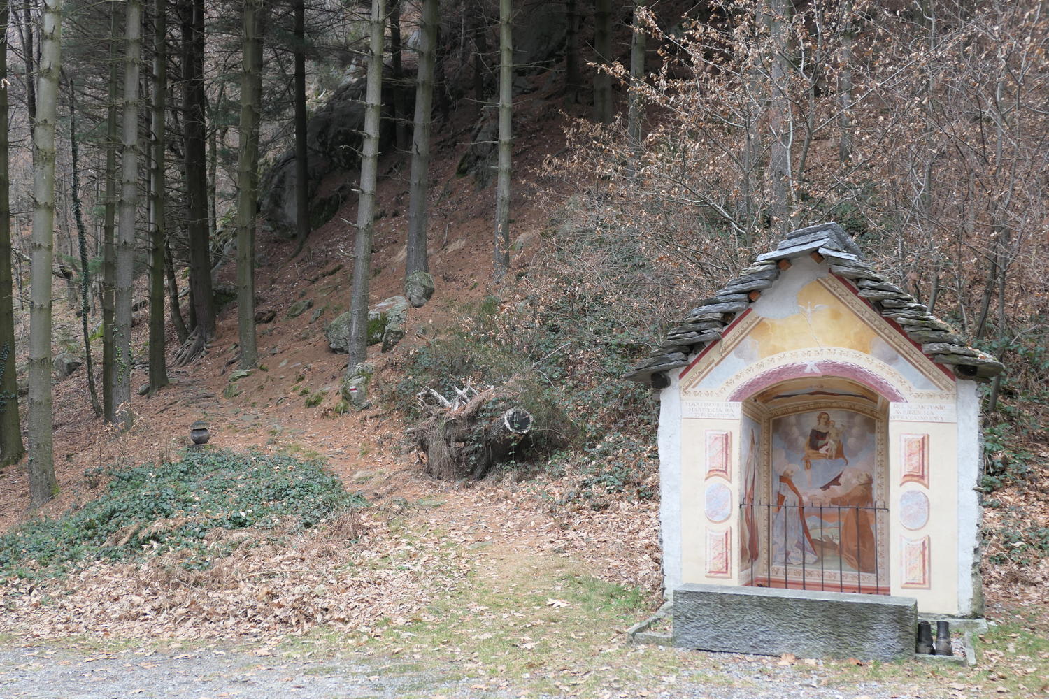 p1030554.jpg