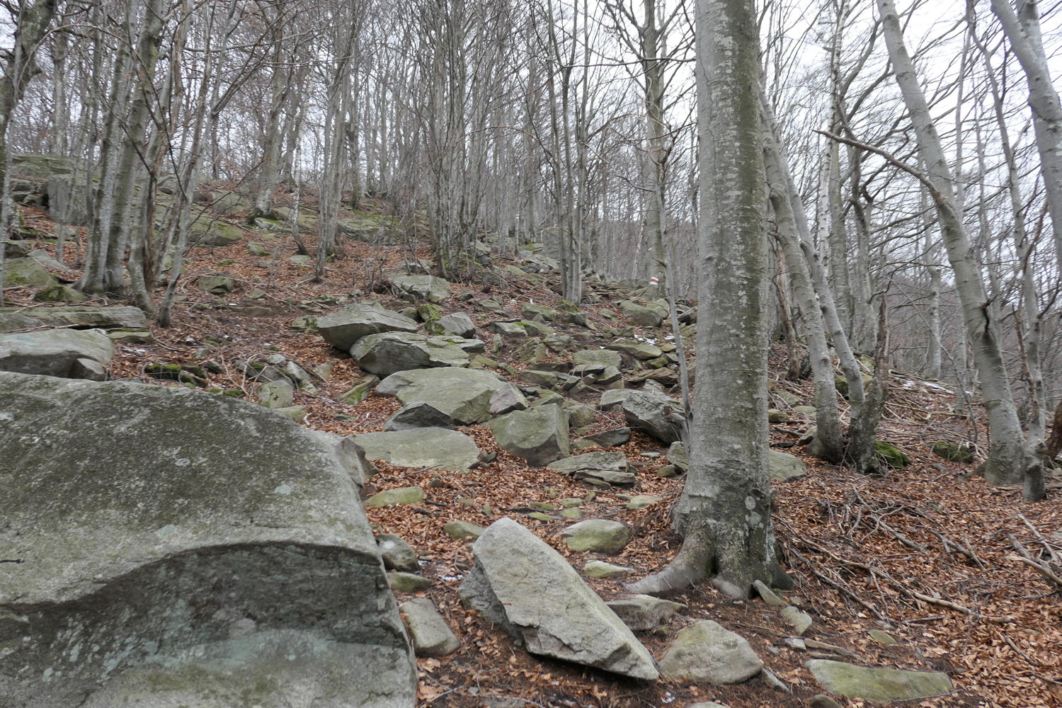 p1030560.jpg