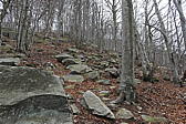 p1030560.jpg