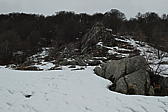p1030561.jpg