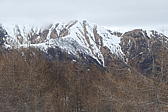 p1030565.jpg
