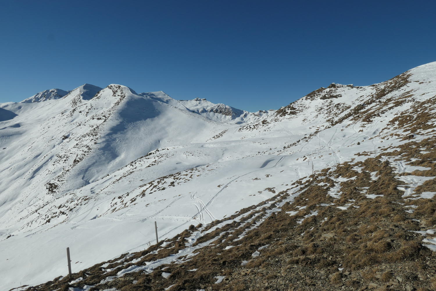 p1002162.jpg