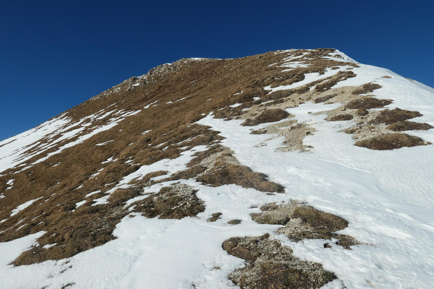 p1002165.jpg