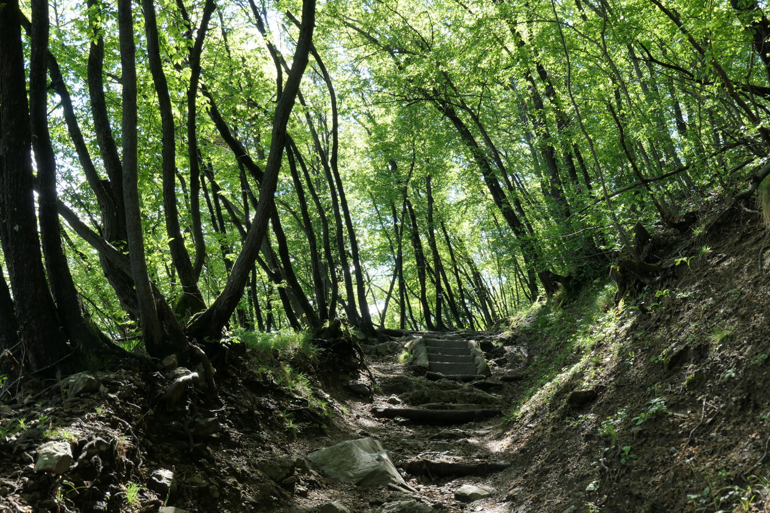 p1000007.jpg