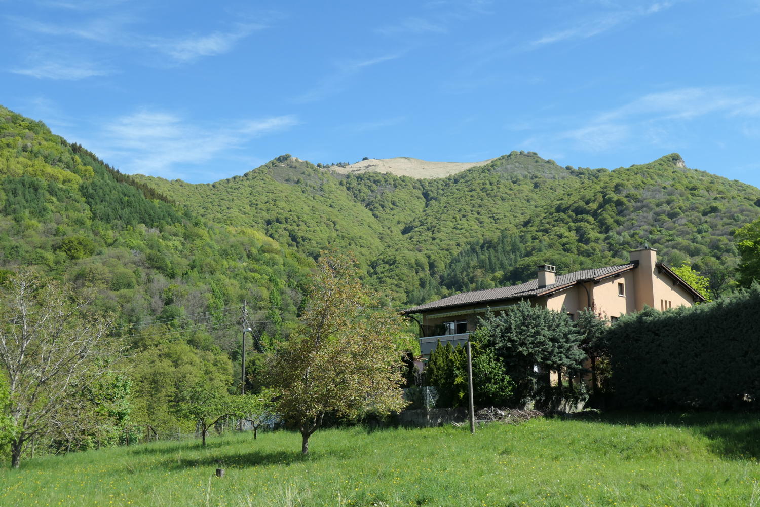 p1000029.jpg