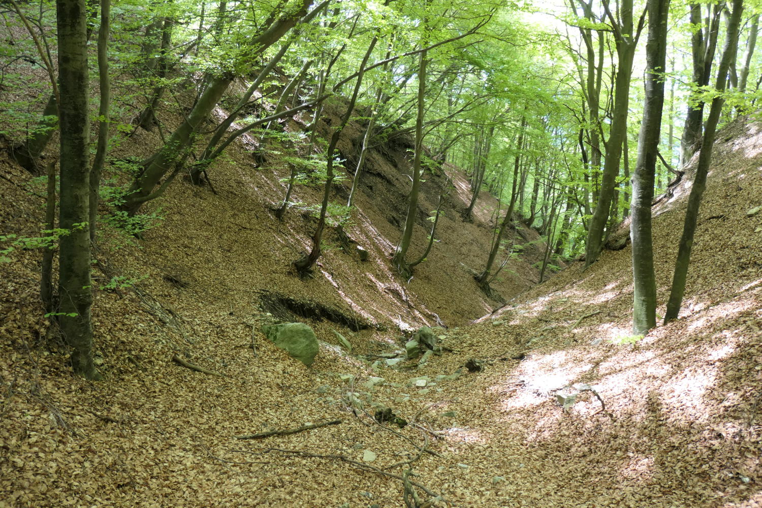 p1000035.jpg