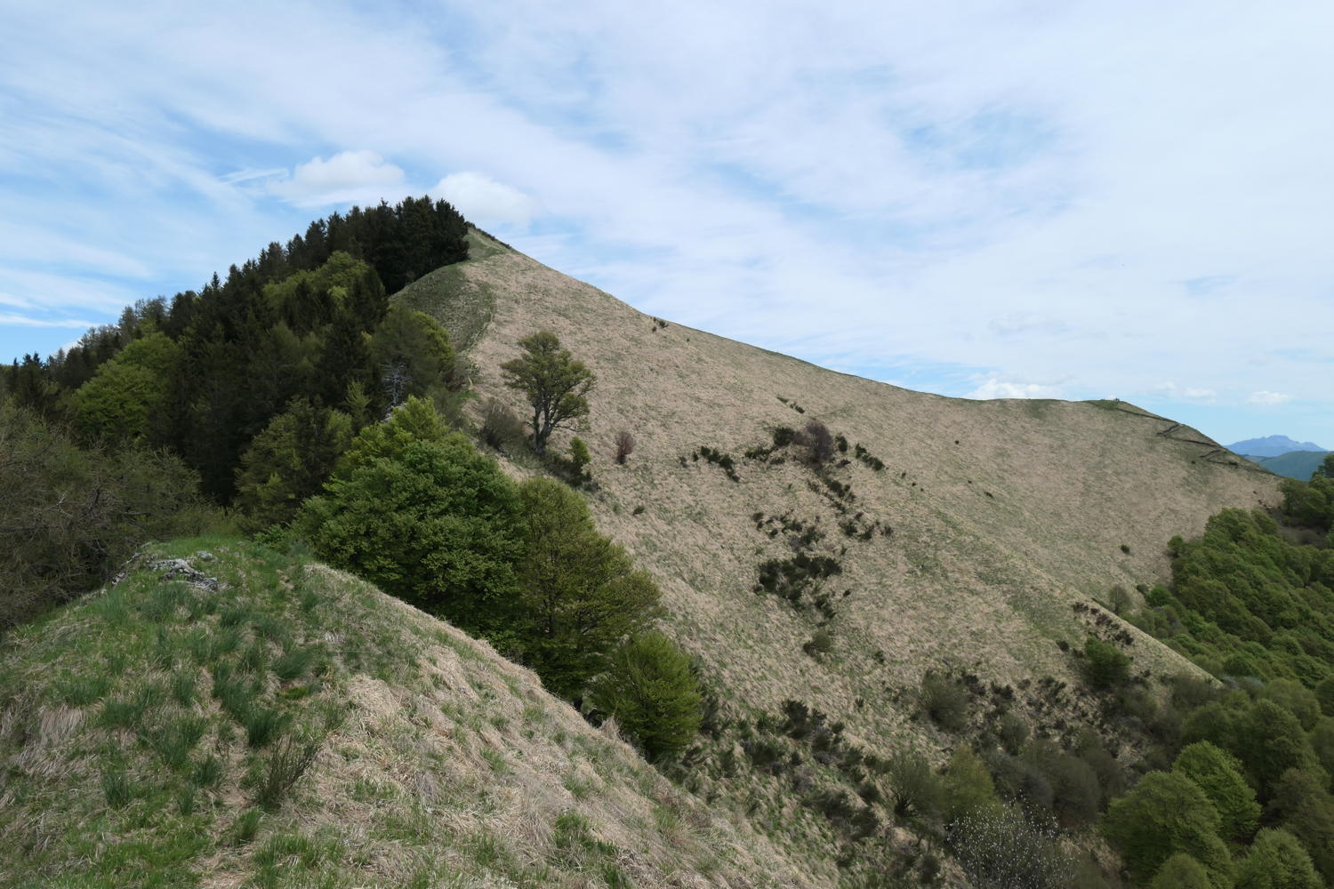 p1000047.jpg