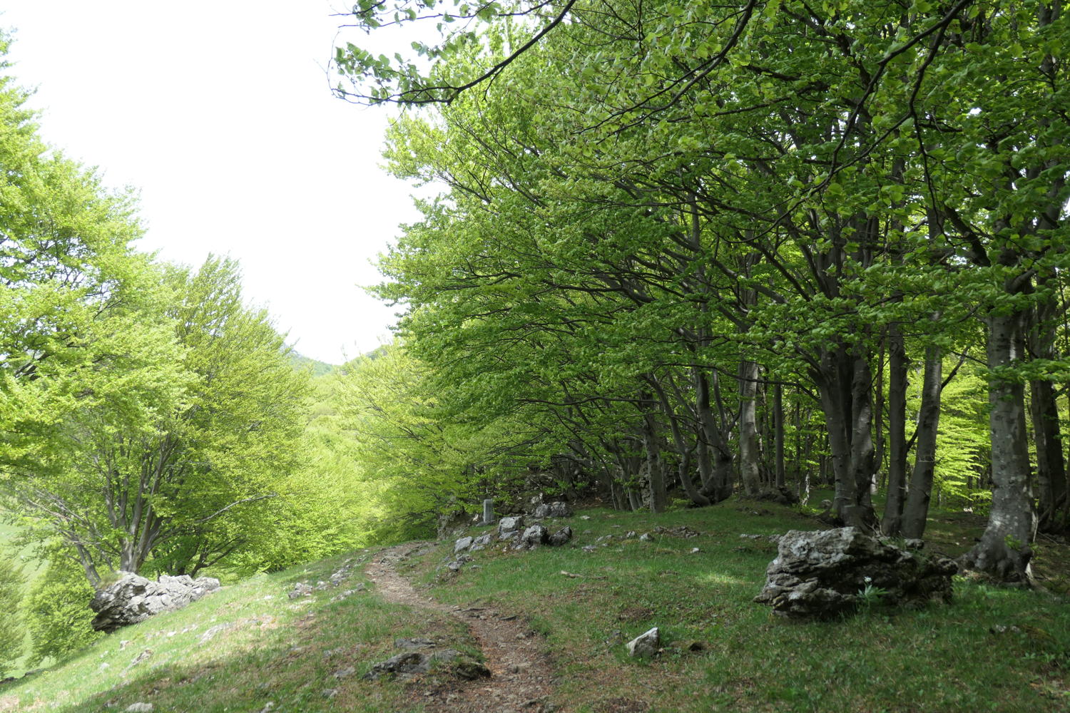 p1000053.jpg