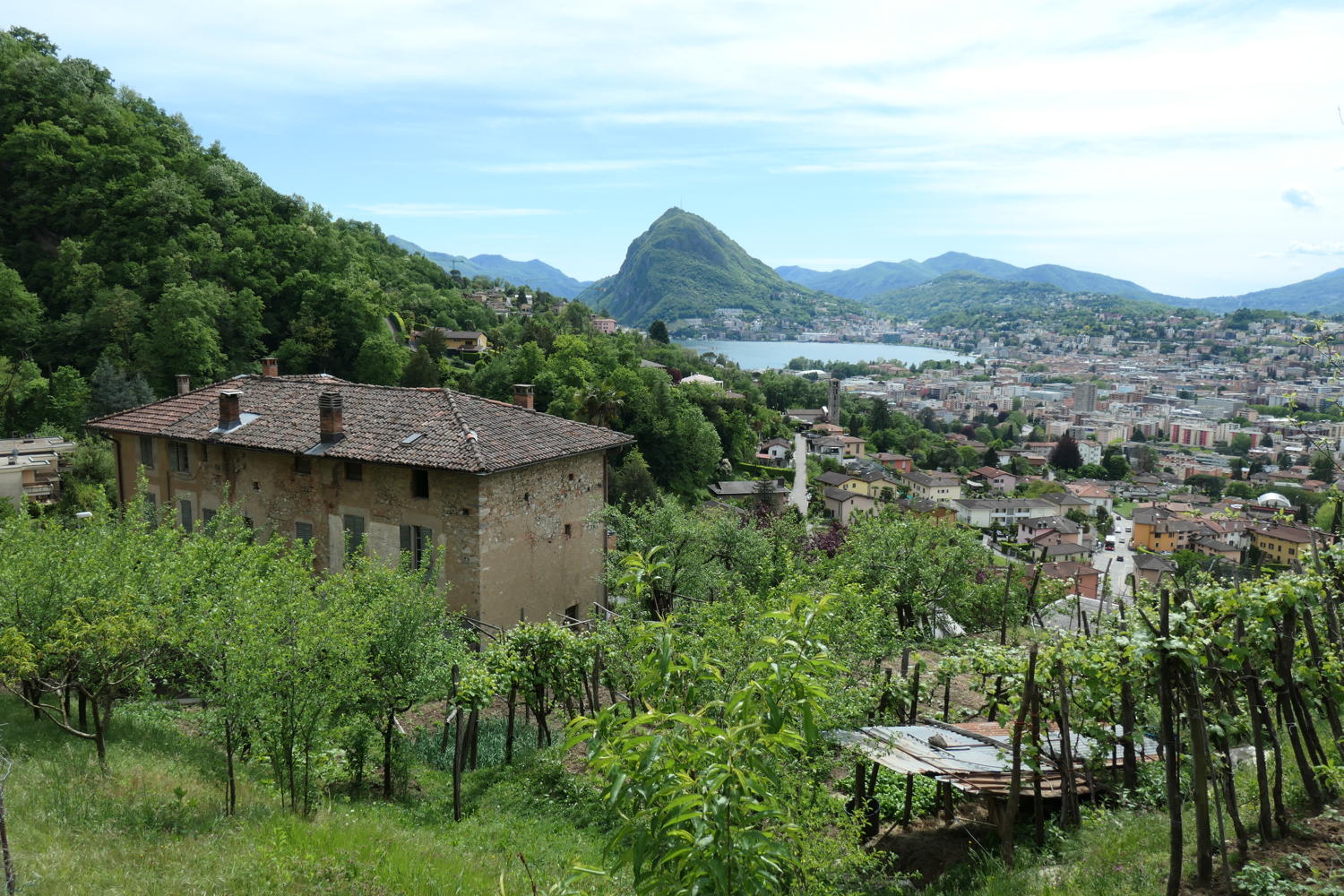 p1000058.jpg
