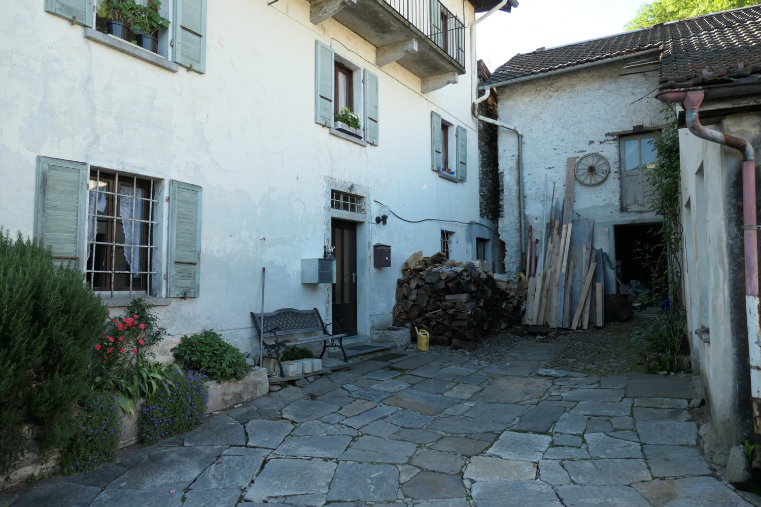 p1000062.jpg