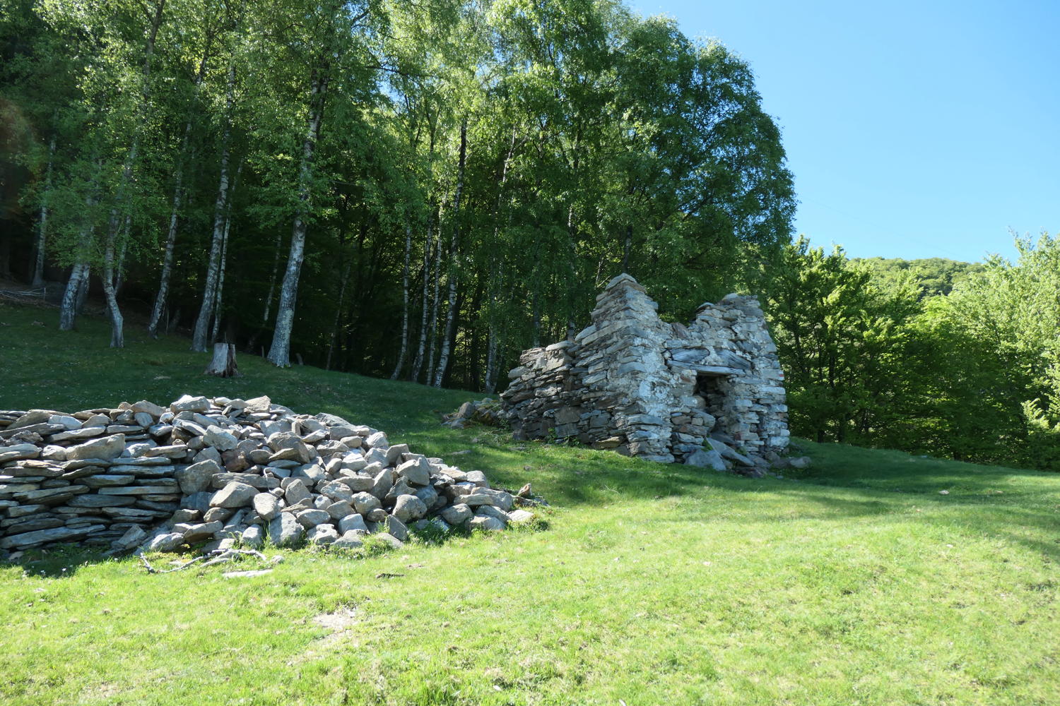p1000074.jpg