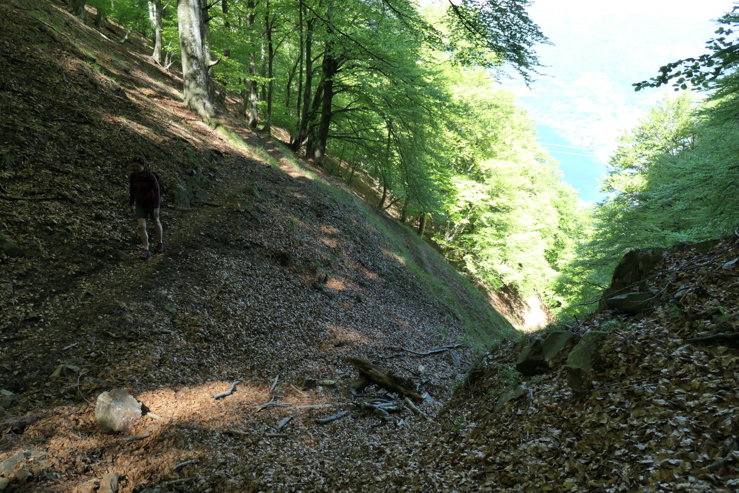 p1000075.jpg
