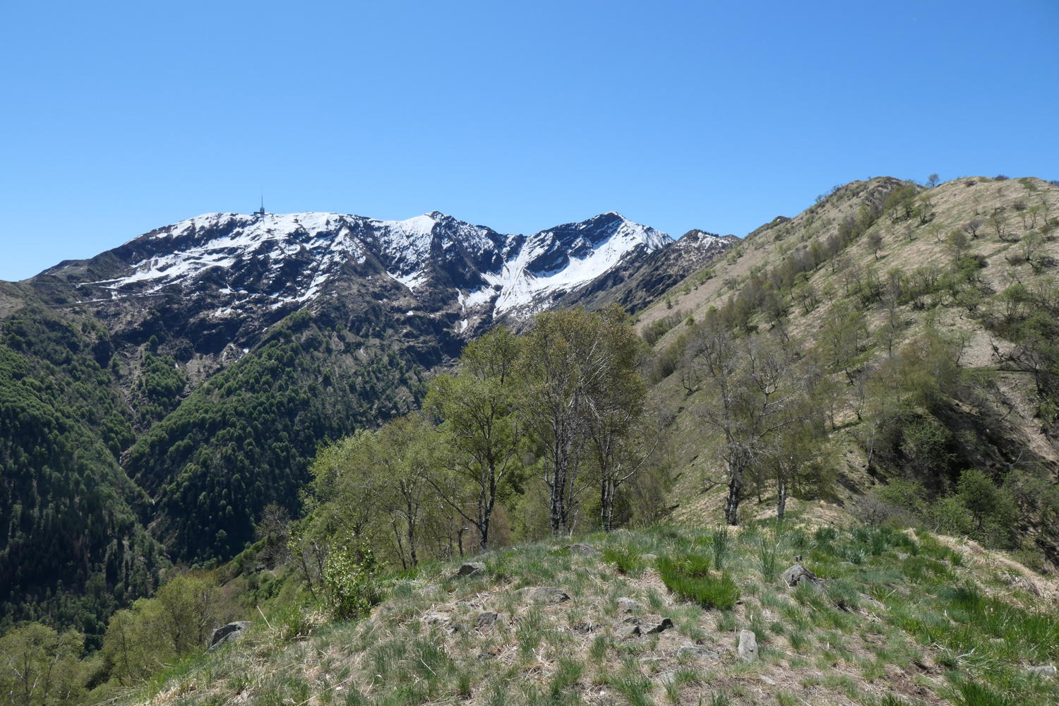 p1000082.jpg