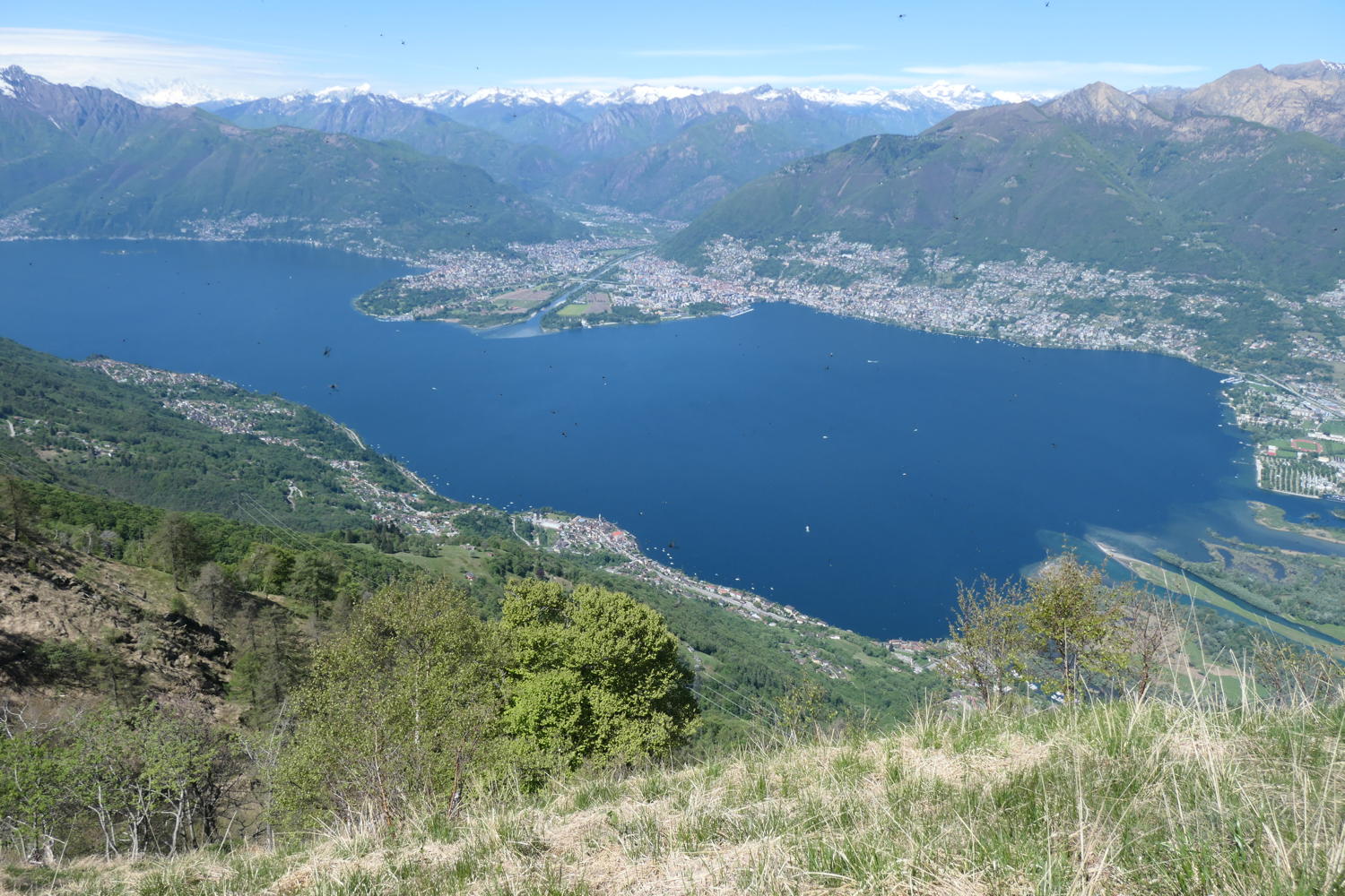 p1000084.jpg