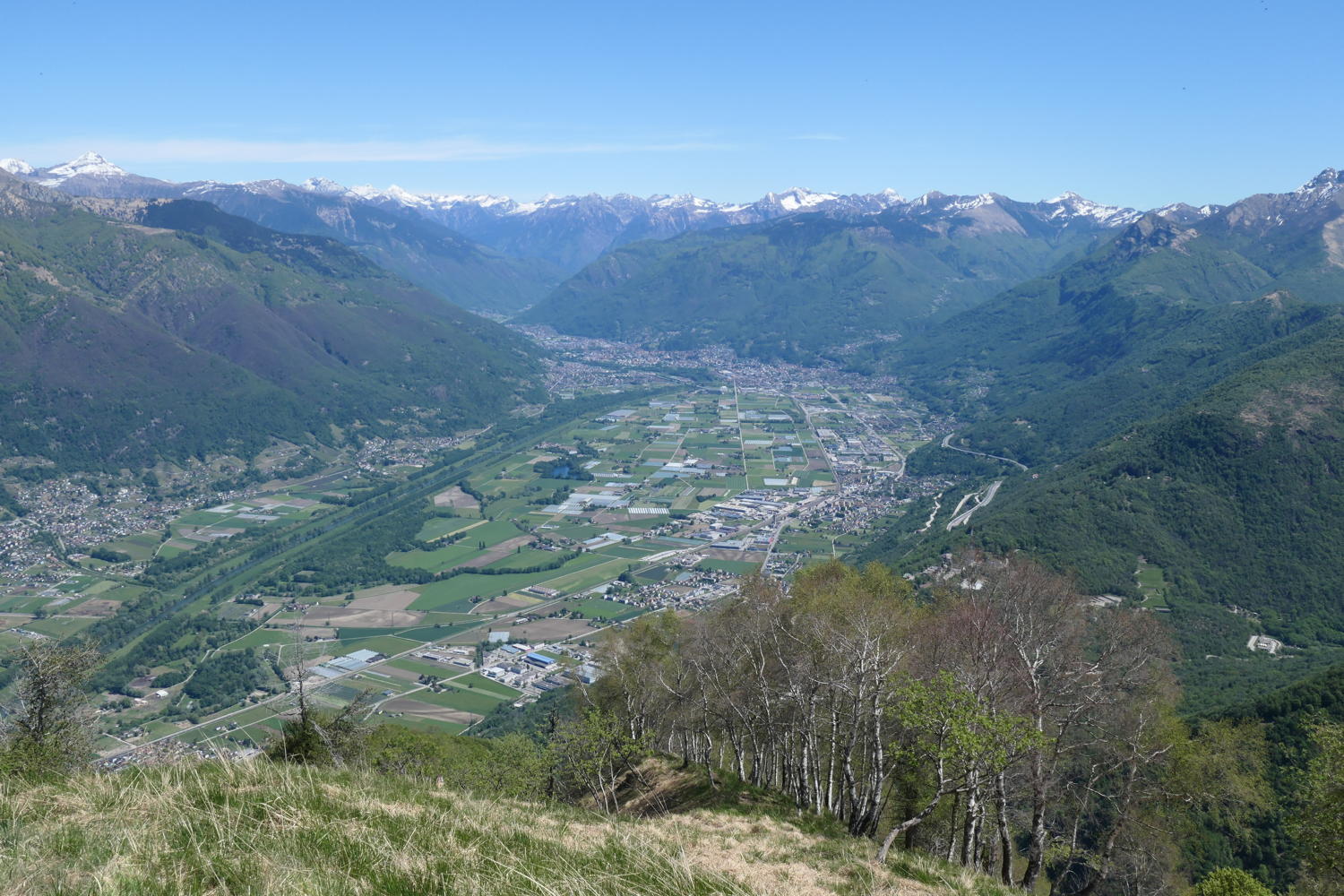 p1000085.jpg