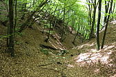p1000035.jpg