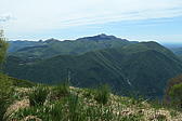 p1000046.jpg
