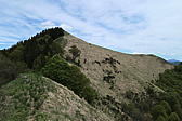 p1000047.jpg