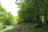 p1000053.jpg