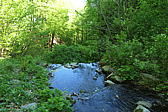 p1000069.jpg