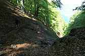 p1000075.jpg